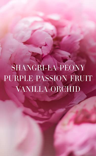 Bombshell Fragrance Duo Gift Set