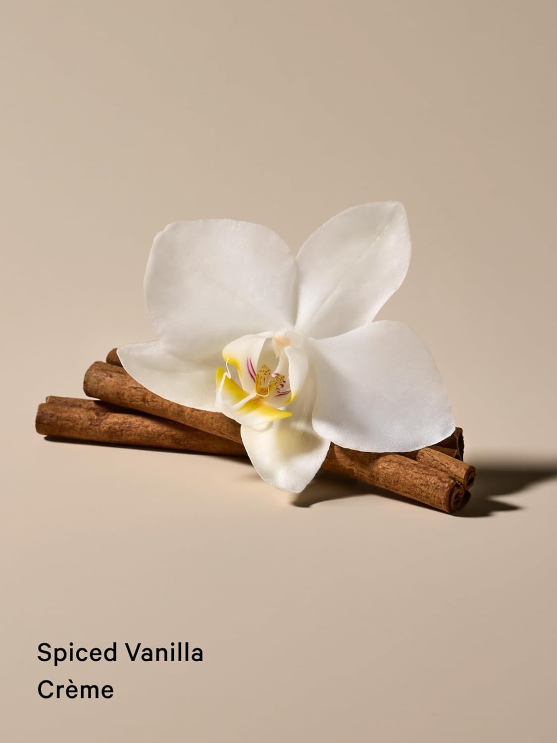Spiced Vanilla Body Care Duo