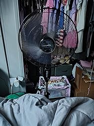 71DHVx8t+HL._SY250_.jpg