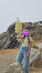 71FKQPhi58L._SY250_.jpg