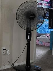 71yeaUNrkvL._SY250_.jpg