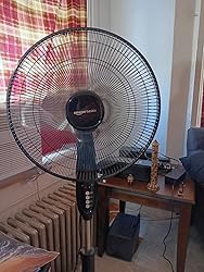 81rRpFuQ8HL._SY250_.jpg
